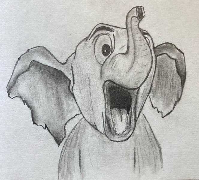 An Elephant 2